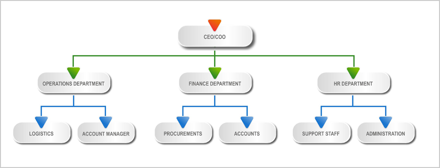 Company Structure